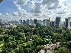 The Draycott (D10), Apartment #569743071